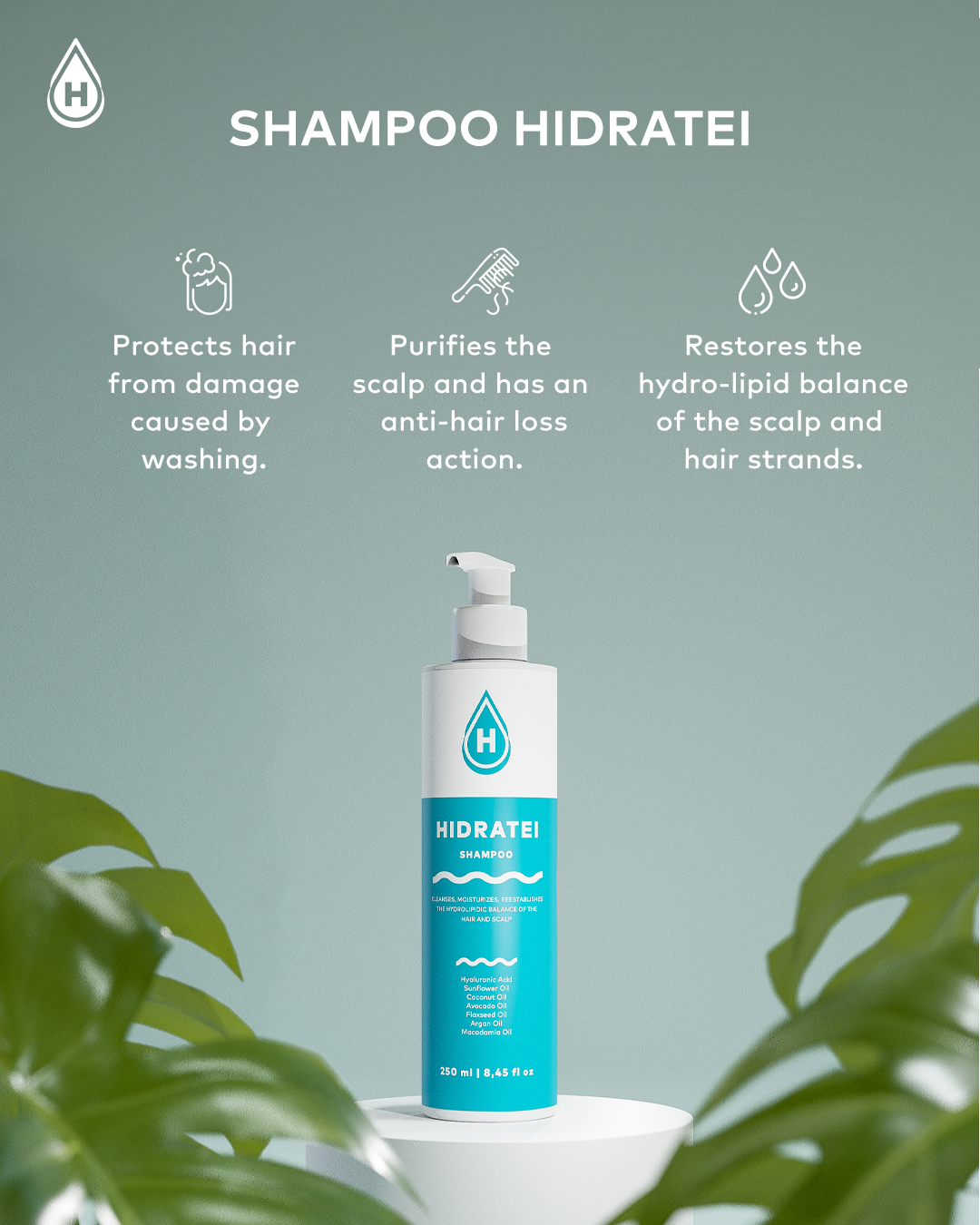 Shampoo Hidratei